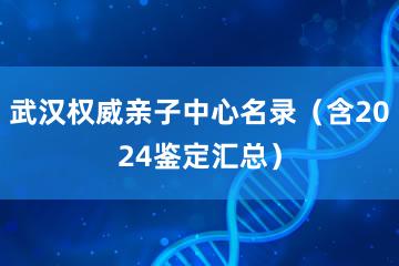 武汉权威亲子中心名录（含2024鉴定汇总）