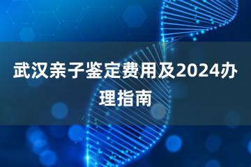 武汉亲子鉴定费用及2024办理指南