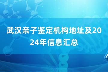 武汉亲子鉴定机构地址及2024年信息汇总