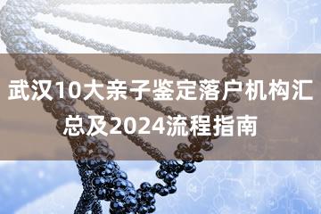 武汉10大亲子鉴定落户机构汇总及2024流程指南