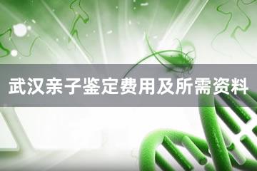 武汉亲子鉴定费用及所需资料