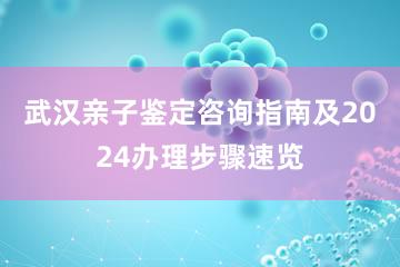 武汉亲子鉴定咨询指南及2024办理步骤速览