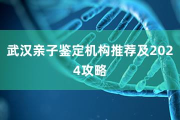 武汉亲子鉴定机构推荐及2024攻略