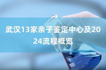 武汉13家亲子鉴定中心及2024流程概览