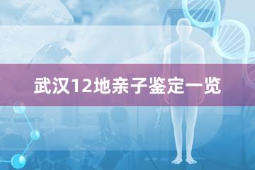 武汉12地亲子鉴定一览