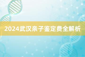 2024武汉亲子鉴定费全解析