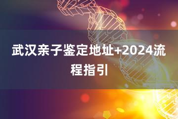 武汉亲子鉴定地址+2024流程指引