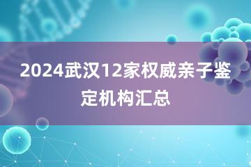 2024武汉12家权威亲子鉴定机构汇总