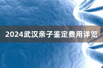 2024武汉亲子鉴定费用详览