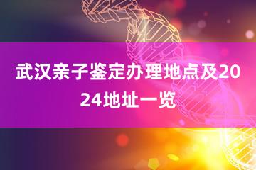 武汉亲子鉴定办理地点及2024地址一览