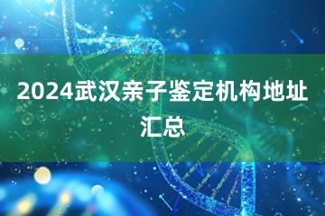 2024武汉亲子鉴定机构地址汇总