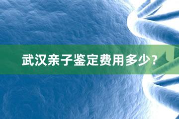 武汉亲子鉴定费用多少？