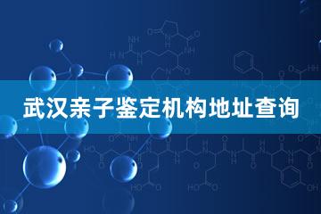 武汉亲子鉴定机构地址查询