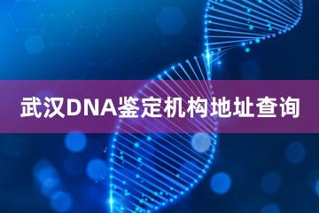 武汉DNA鉴定机构地址查询