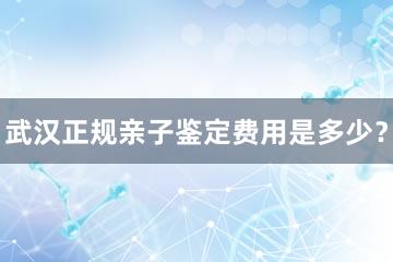 武汉正规亲子鉴定费用是多少？