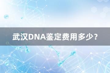 武汉DNA鉴定费用多少？