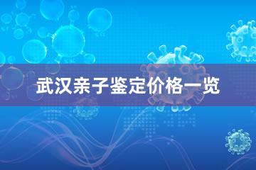 武汉亲子鉴定价格一览