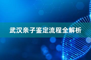 武汉亲子鉴定流程全解析